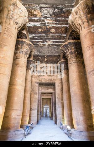 Huge carved columns in the interior of the Temple of Edfu, Egypt Stock Photo