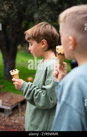 Two young boys enjoying ice cream cones on a sunny day in the park Stock Photo