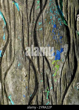 Wood pattern - feather pattern. Close-up of a wooden surface in a playground, with worn patterns meant to resemble feathers. Stock Photo