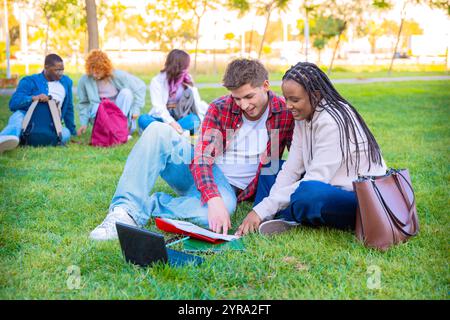 Young couple using laptop together while sitting on grass outdoors Stock Photo