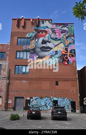 Canada, Quebec, Montreal, borough of Plateau-Mont-Royal, Drolet Street: street art. Mural with woman's face by Tristan Eaton *** Local Caption *** Stock Photo