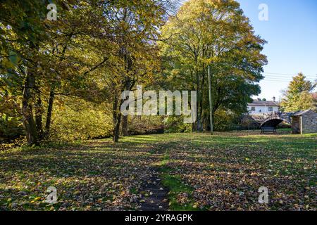 The green Autumn colours and leaves  at Dunsop Bridge, Duchy of Lancaster, Trough of Bowland, Ribble Valley Lancashire UK. Stock Photo