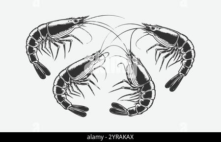 A set of four black and colorful shrimp vector illustrations, easily editable. Stock Vector