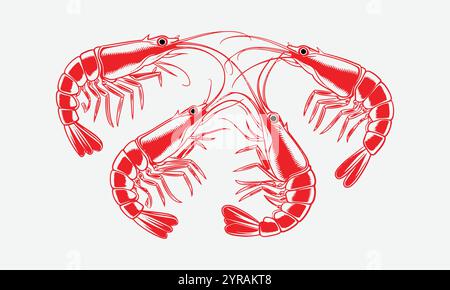 A set of four black and colorful shrimp vector illustrations, easily editable. Stock Vector