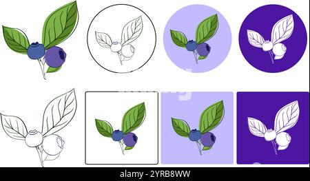 Graphic line style drawing of whole healthy organic blueberries for orchard logo identity. set of two blueberries on branches with leaves design vecto Stock Vector