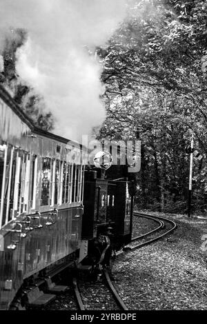 Steam train approaching a curve in the track in the Welsh woodlands, on its way to Aberystwyth Stock Photo