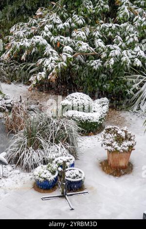 Garden scene during heavy snow, snow covered plants, shrubs and trees in Sidmouth, Devon, UK Stock Photo