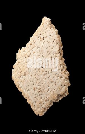 old white styrofoam thrown on dirt outdoor isolated black background, environmental hazard from non biodegradable discarded foam piece, recycling Stock Photo