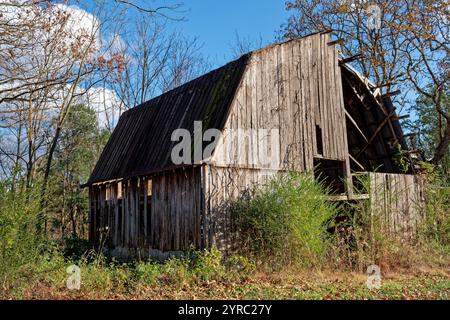 Very old wooden barn half torn apart with a rusty metal roof still upright abandoned in a over grown field with lots of trees on a sunny day in winter Stock Photo