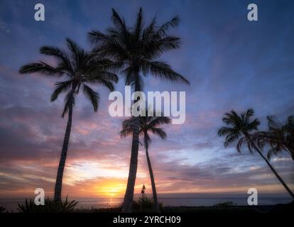 Sunset and palm trees over ocean. Hawaii, The Big Island Stock Photo