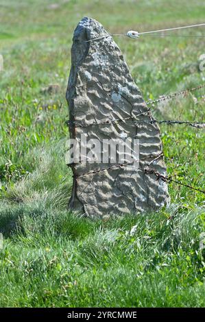 A barbed wire fence attached to a standing stone fence post showing chisel marks Orkney Scotland Stock Photo