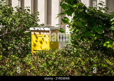 an urban apiary - yellow beehive on the roof of one of the building in the city center Stock Photo