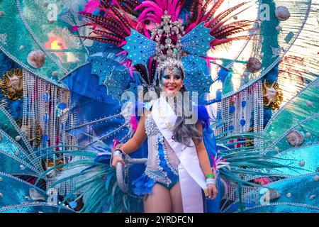 The image features a person dressed in a vibrant and elaborate costume, typically seen in carnivals or festive parades. The costume is adorned with a Stock Photo