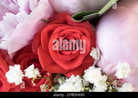 Elegant Close-Up of a Red Rose with Baby's Breath and Soft Pink Petals Stock Photo