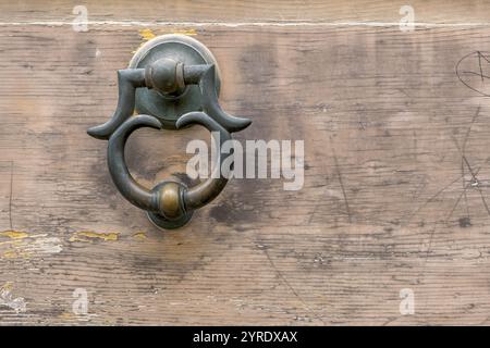 Door knocker on an old wooden gate, Galatina, Apulia, Italy, Europe Stock Photo