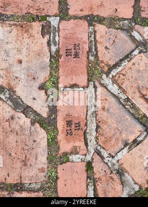 Old tiled brick stones with inscription text 111 No12, in the pavement in front of ruins of the Franciscan monastery in Berlin, Germany; green moss Stock Photo