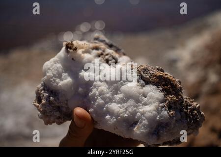Close-up of a hand holding a salt-encrusted rock, showcasing natural mineral formations from a lagoon in the Atacama Desert under bright sunlight. Stock Photo