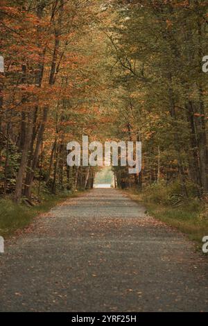 A scenic fall walk in the Catskills under a tree canopy Stock Photo