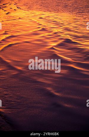 Golden Light Reflecting on Rippling Water Surface Creating Texture ...