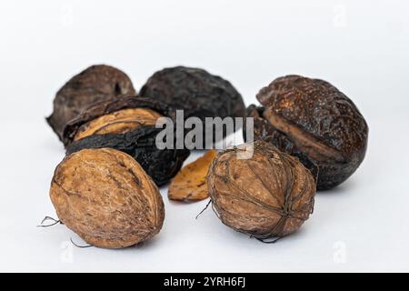 Walnuts in shell isolated on white background. Stock Photo