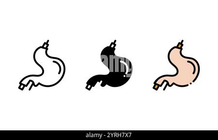 Human anatomical stomach icon. vector icon with outline, glyph, and filled outline style. which is represented by the human stomach organ Stock Vector