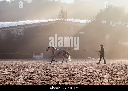 A rider trains with a horse in the warm-up arena during the Longines ...