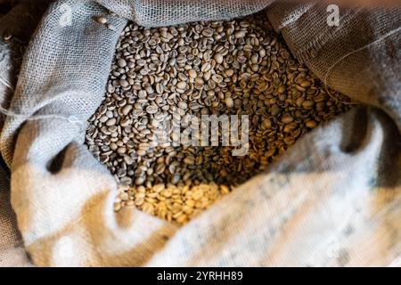 A burlap sack filled with unroasted coffee beans, capturing their natural earthy texture and color, illuminated by soft, warm light Perfect for coffee Stock Photo