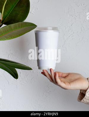 A minimalist white coffee cup hovers above a hand against a textured white wall A green plant adds a natural touch, emphasizing simplicity and eleganc Stock Photo