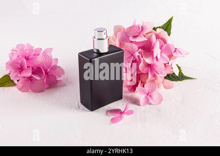 A sleek black perfume bottle placed alongside vibrant pink hydrangea flowers on a light background The minimalistic design adds a touch of elegance an Stock Photo