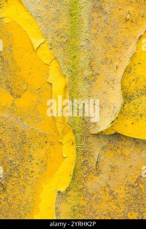The image captures a detailed view of weathered yellow paint peeling and flaking on an aged, textured surface This abstract scene evokes themes of dec Stock Photo