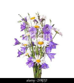 Bouquet  of Chamomiles and bellflowers isolated on a white background. Stock Photo