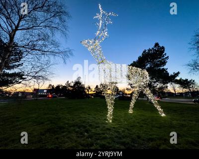 Large illuminated  christmas reindeer sculpture on a green lawn with a twilight sky and trees in the background ashington northumberland Stock Photo