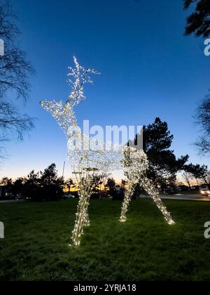 Large illuminated  christmas reindeer sculpture on a green lawn with a twilight sky and trees in the background ashington northumberland Stock Photo