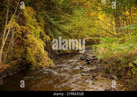 UK, County Durham, Teesdale, Bowlees, Bow Lee Beck in autumn Stock Photo