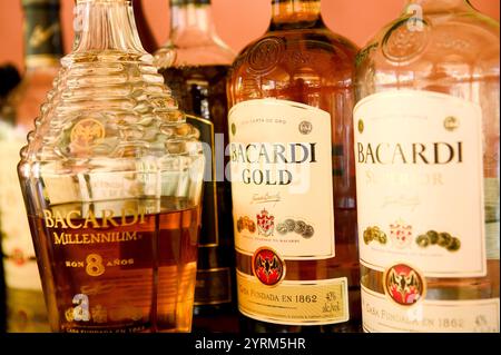 Bahamas, New Providence Island, Coral Harbour: Bacardi Rum Factory, Premium Rums / Rum Tasting Stock Photo