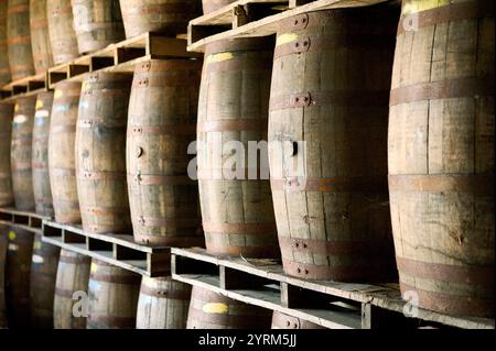 Bahamas, New Providence Island, Coral Harbour: Bacardi Rum Factory, Rum Aging Casks Stock Photo