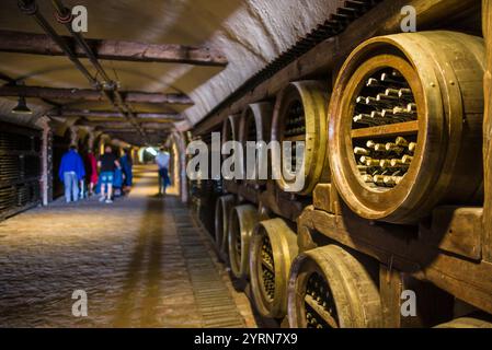 Georgia,Kakheti Area,Kvareli,Winery Khareba,7. 7 kms of wine tunnels that store more than 25,000 bottles of their wine. Stock Photo