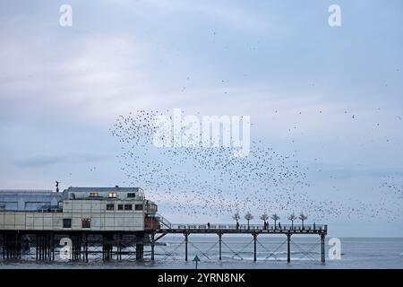 Starlings above Aberystwyth Pier in winter Stock Photo