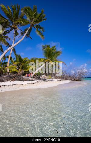 Woman relaxing on the trunk of a coconut tree on the beach, Bijoutier Island, Alphonse Group, Outer Seychelles, Seychelles, Indian Ocean Stock Photo