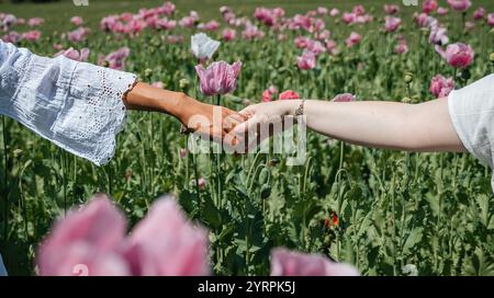 Two women's hands meet in a gentle touch, fingertips lightly brushing against each other amidst a field of pink poppies swaying gracefully in the Stock Photo
