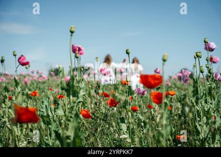 Two girls in white dresses embrace from behind, standing in a field of pink poppies gently swaying in the wind. A high-quality photo capturing the Stock Photo