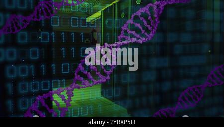 Image of dna strand, binary coding and data processing over computer servers Stock Photo