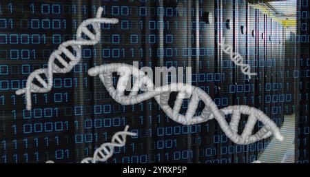Image of dna strands, binary coding and data processing over computer servers Stock Photo