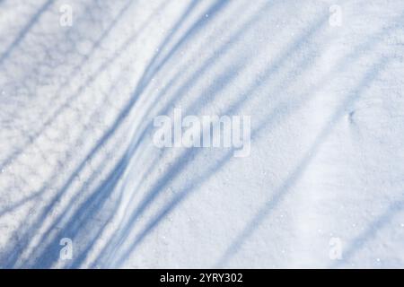 Soft shadow lines pattern is on white snowdrift on a sunny winter day, abstract natural background photo texture Stock Photo