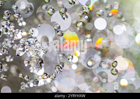 Close-up of glistening water drops, creating a mesmerizing bokeh effect with blurred lights Stock Photo