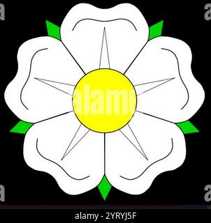 The White Rose of York (Latinised as rosa alba, blazoned as a rose argent) is a white heraldic rose which was adopted in the 14th century as a heraldic badge of the royal House of York. Stock Photo