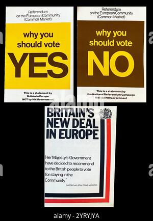 Referendum On The European Community Common Market 1975 Pamphlets Vote Yes Or No Stock Photo