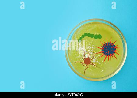 Petri dish with microbes on light blue background, top view ...