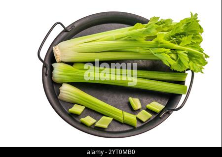 Sliced uncooked celery sticks in steel tray isolated on white background, top view. Stock Photo