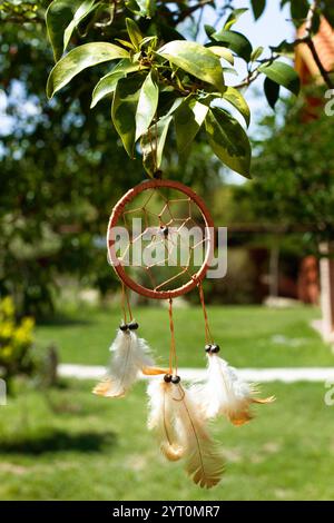 A dream catcher hanging from a plant branch with leaves in a sunny day Stock Photo